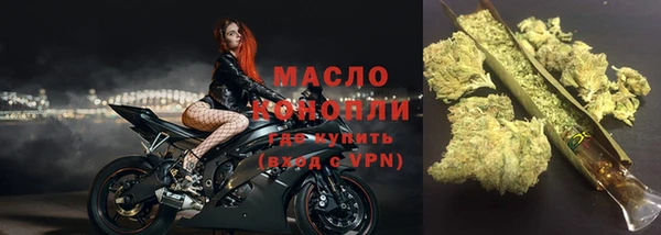 прущие крисы Ельня