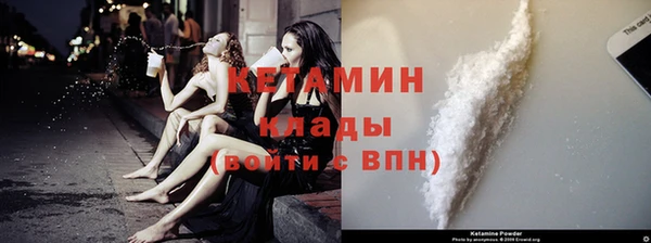 прущие крисы Ельня