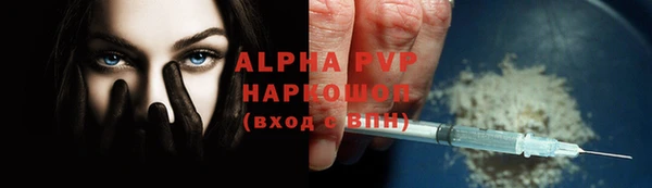 прущие крисы Ельня