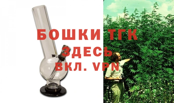 прущие крисы Ельня
