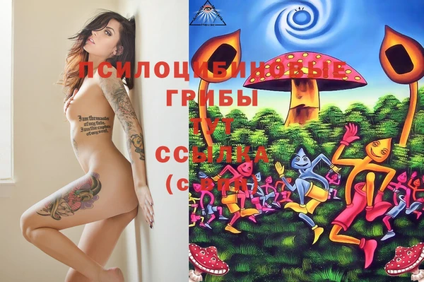 марки nbome Елизово